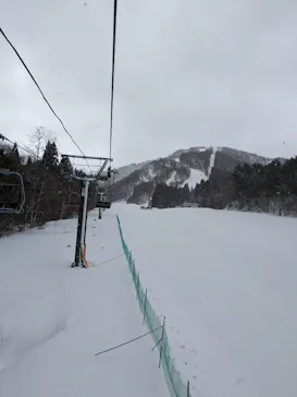 花輪スキー場　アルパスに投稿された画像（2024/1/24）