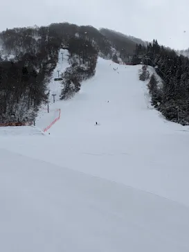 花輪スキー場　アルパスに投稿された画像（2024/1/24）