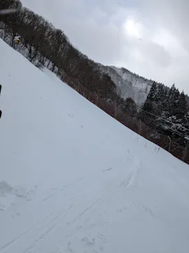 花輪スキー場　アルパスに投稿された画像（2024/1/24）