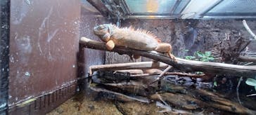 マクセル アクアパーク品川に投稿された画像（2024/1/24）