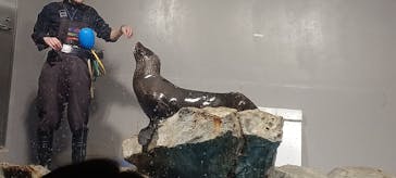 マクセル アクアパーク品川に投稿された画像（2024/1/24）