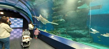 マクセル アクアパーク品川に投稿された画像（2024/1/24）