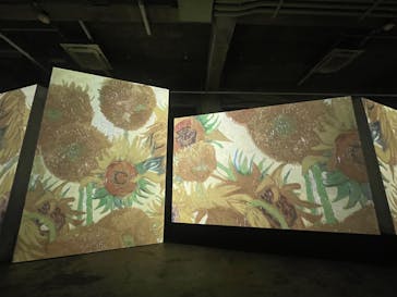 ゴッホ・アライブに投稿された画像（2024/1/24）