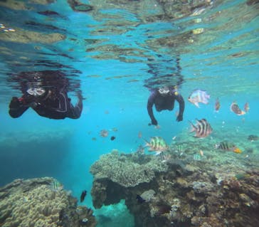 青の洞窟専門店　沖縄ダイビングショップ和に投稿された画像（2024/1/24）