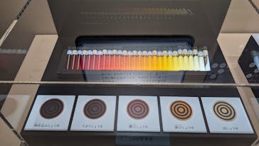 特別展「和食 ～日本の自然、人々の知恵～」に投稿された画像（2024/1/24）