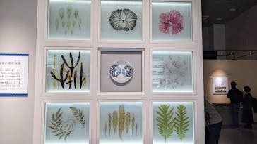 特別展「和食 ～日本の自然、人々の知恵～」に投稿された画像（2024/1/24）