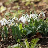 横浜イングリッシュガーデンに投稿された画像（2024/1/24）