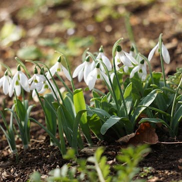 横浜イングリッシュガーデンに投稿された画像（2024/1/24）