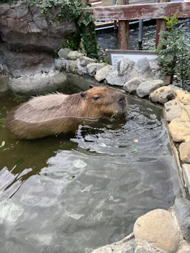 横浜・八景島シーパラダイスに投稿された画像（2024/1/24）