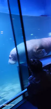 横浜・八景島シーパラダイスに投稿された画像（2024/1/24）