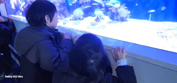 横浜・八景島シーパラダイスに投稿された画像（2024/1/24）