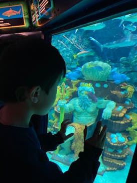 レゴランドⓇ・ジャパン・リゾートに投稿された画像（2024/1/24）