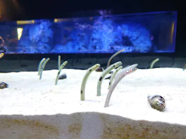 すみだ水族館に投稿された画像（2024/1/24）