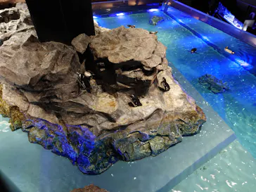 すみだ水族館に投稿された画像（2024/1/24）