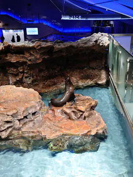 すみだ水族館に投稿された画像（2024/1/24）