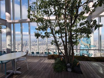 ハルカス300(展望台)に投稿された画像（2024/1/24）