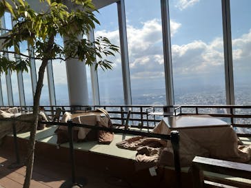 ハルカス300(展望台)に投稿された画像（2024/1/24）