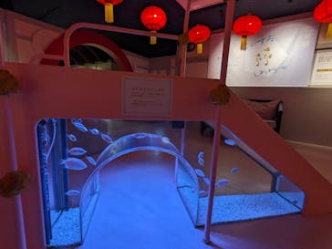 横浜開運水族館 フォーチュンアクアリウムに投稿された画像（2024/1/24）
