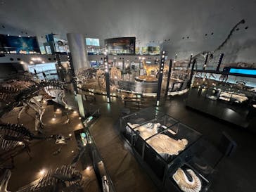 福井県立恐竜博物館に投稿された画像（2024/1/24）