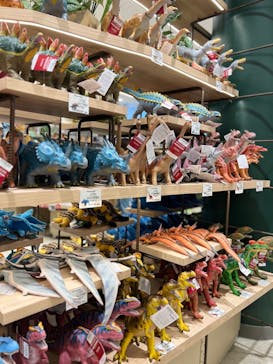 福井県立恐竜博物館に投稿された画像（2024/1/24）