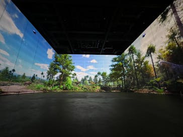 福井県立恐竜博物館に投稿された画像（2024/1/24）