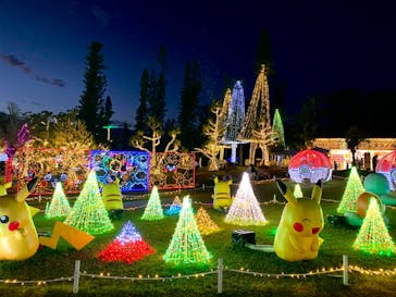 美らヤシパークオキナワ・東南植物楽園に投稿された画像（2024/1/24）