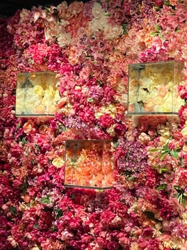 NARA KINGYO MUSEUMに投稿された画像（2024/1/24）