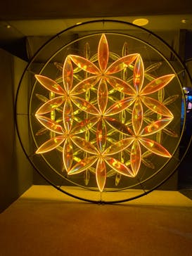 NARA KINGYO MUSEUMに投稿された画像（2024/1/24）