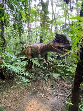御菓子御殿　名護店　やんばる亜熱帯の森DINO恐竜PARKに投稿された画像（2024/1/24）