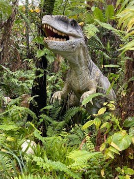 御菓子御殿　名護店　やんばる亜熱帯の森DINO恐竜PARKに投稿された画像（2024/1/24）