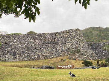 今帰仁城跡に投稿された画像（2024/1/24）