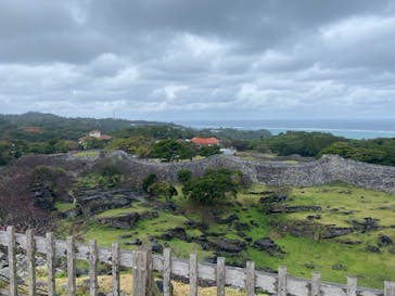 今帰仁城跡に投稿された画像（2024/1/24）