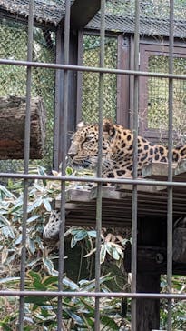 よこはま動物園ズーラシアに投稿された画像（2024/1/24）