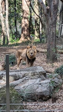よこはま動物園ズーラシアに投稿された画像（2024/1/24）