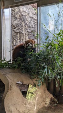よこはま動物園ズーラシアに投稿された画像（2024/1/24）