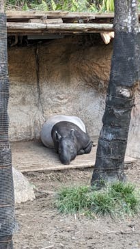 よこはま動物園ズーラシアに投稿された画像（2024/1/24）
