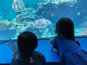 沖縄美ら海水族館に投稿された画像（2024/1/24）