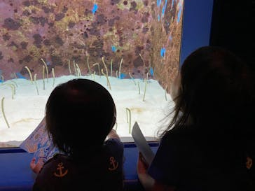 沖縄美ら海水族館に投稿された画像（2024/1/24）