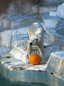 天王寺動物園に投稿された画像（2024/1/24）