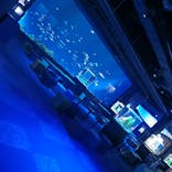 DMMかりゆし水族館に投稿された画像（2024/1/25）