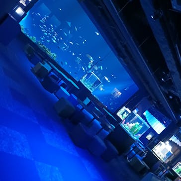 DMMかりゆし水族館に投稿された画像（2024/1/25）