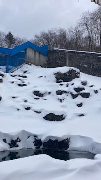 奥飛騨クマ牧場に投稿された画像（2024/1/25）