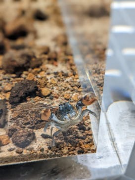 AOAO SAPPOROに投稿された画像（2024/1/25）