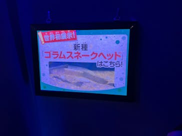 カワスイ 川崎⽔族館に投稿された画像（2024/1/25）