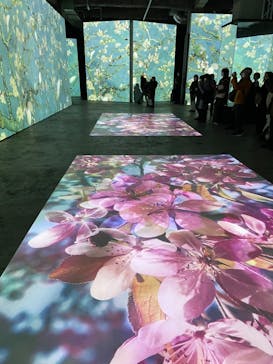 ゴッホ・アライブに投稿された画像（2024/1/25）