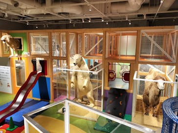 国立科学博物館に投稿された画像（2024/1/25）