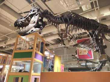 国立科学博物館に投稿された画像（2024/1/25）