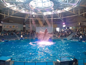 マクセル アクアパーク品川に投稿された画像（2024/1/25）