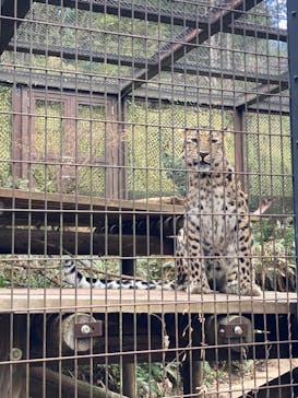 よこはま動物園ズーラシアに投稿された画像（2024/1/25）