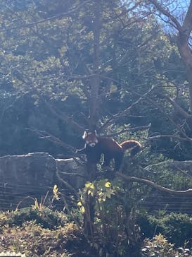 よこはま動物園ズーラシアに投稿された画像（2024/1/25）